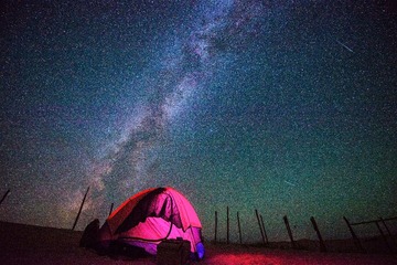追星人