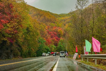 B0006633