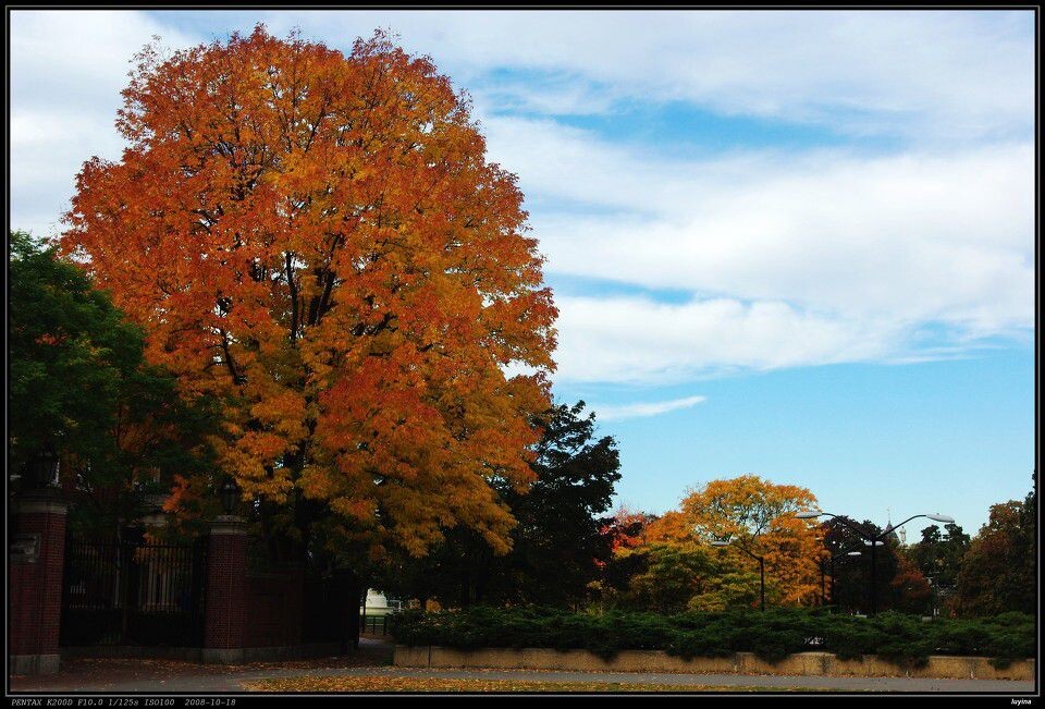 colorful fall<br />
