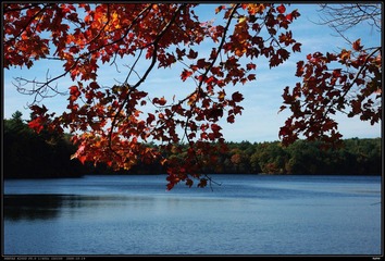 walden pond