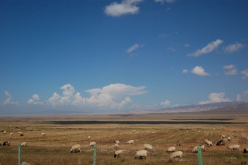 DSC_3632.JPG