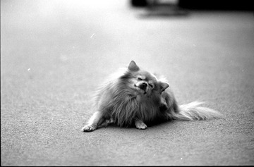 Scan-111028-0005.jpg