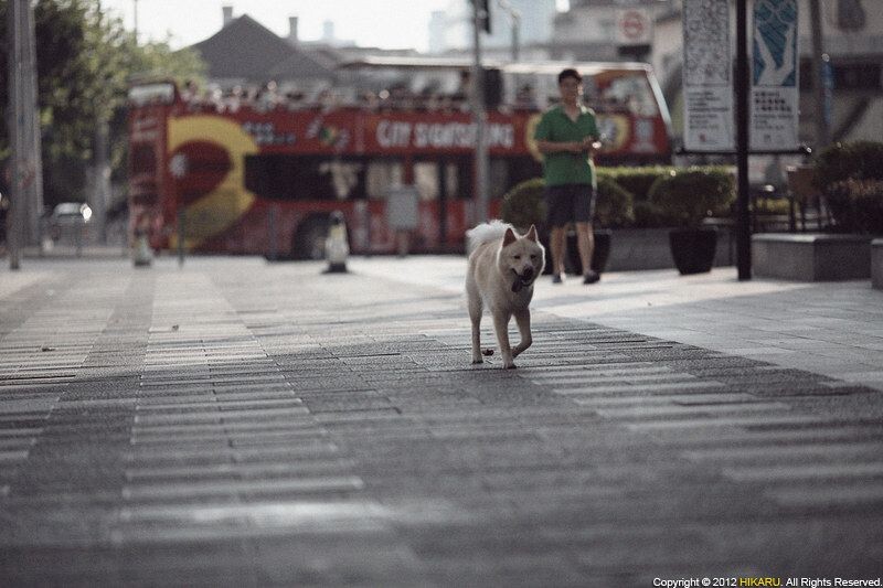Street Photography<br />
Street Photography, Shanghai, China, August 5, 2012