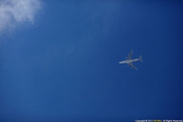 IMG_0397.jpg