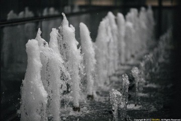 IMG_0476.jpg