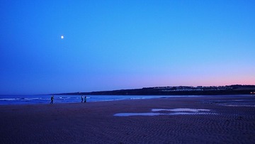 P1010424.jpg