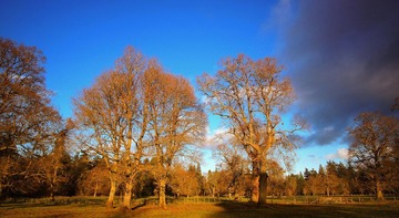 PC170402.jpg