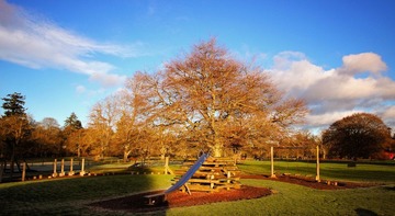 PC170411.jpg