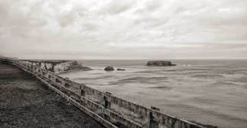 P1250845BW.jpg