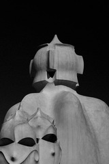 P1012467bw.jpg