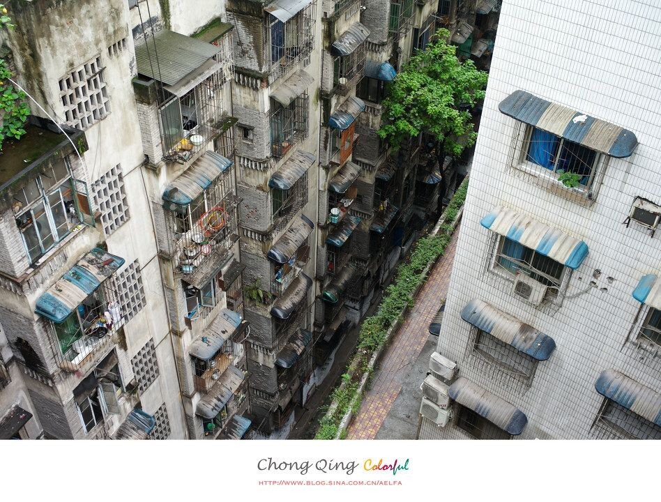 站在马路上往下看高楼<br />