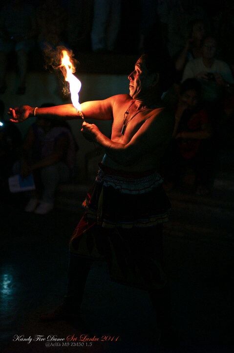 Kandy Fire Dance<br />
康提舞是斯里兰卡僧伽罗族传统舞蹈中最有代表性的舞蹈派别,是僧伽罗族文化标志之一。这种舞蹈是在古洪婆祭神会上表演的祭祀舞蹈。仪式中通过吟诵赞词、打鼓、跳舞、向神灵祭献食品等程序,表达人们驱鬼降魔、祈求神灵保佑的愿望,也从中得到娱乐。整台节目以著名的康提火舞压轴,一群赤膊男人无畏的用火来烤灼着自己的肉身,显示自己强大的意志,也表达了对火神的敬畏。