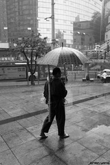 R0015249.JPG