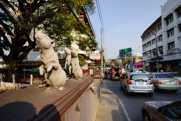 DSC00837.JPG