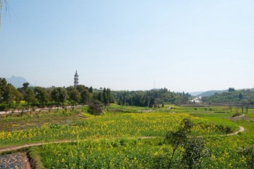 ““DSC_4195”为智能对象-1”为智能对象-1.jpg