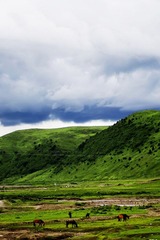 _IGP6731.JPG