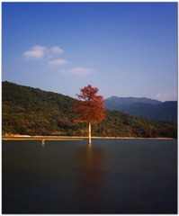 _IGP0729.JPG