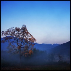 _IGP9636.JPG