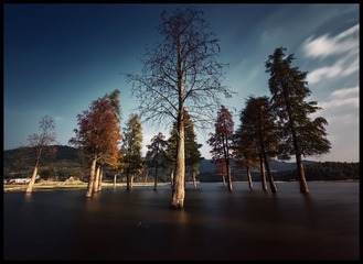 _IGP0724.JPG