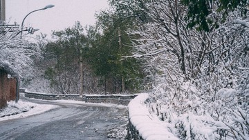 _DSC0626