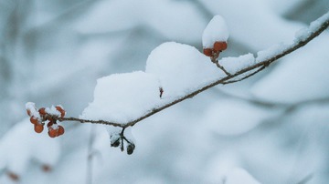 _DSC0622-已增强