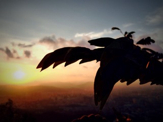 2015-06-20 055523(2)