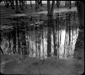 Scan-120417-0007-1.jpg
