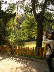 IMG_5297.jpg