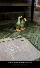IMGP0654_副本.jpg