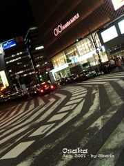 S73R0305.jpg