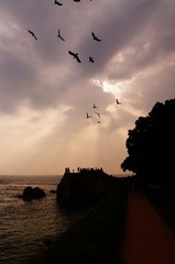 DSC01873.JPG