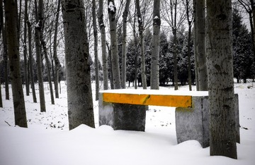 P2040014