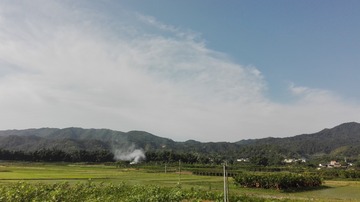 706654