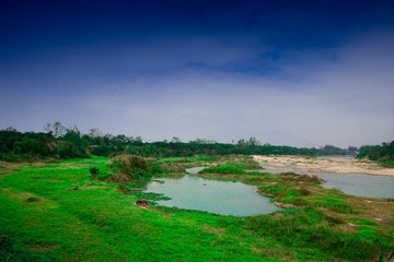 DSC_1110-6