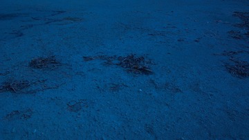 DSC_1153-2