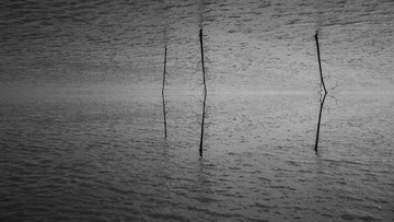 DSC_3984--2