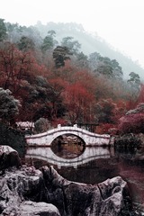 qiao
