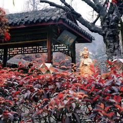 guanyin