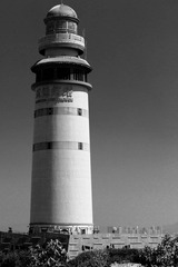 DSC08130.jpg