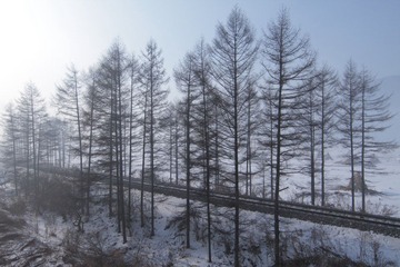DPP_0022.JPG