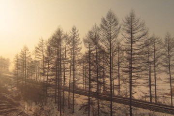 DPP_0023.JPG