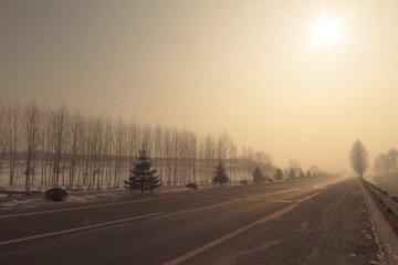 DPP_0024.JPG