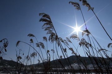 DPP_0038.JPG