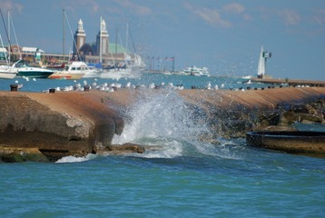 DSC_0767.jpg