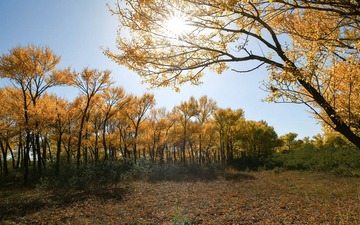IMG_2574_