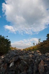 “_DSC0010”为智能对象-1.jpg
