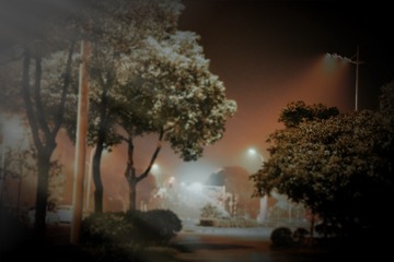 夜景（修）IMG_8294