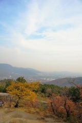 nEO_IMG_DSC_8123.jpg