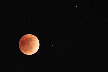 DSC_8450-5.jpg