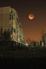 DSC_8460.jpg